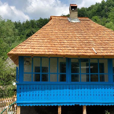 הוילה Băile Olăneşti Casa Albastra מראה חיצוני תמונה