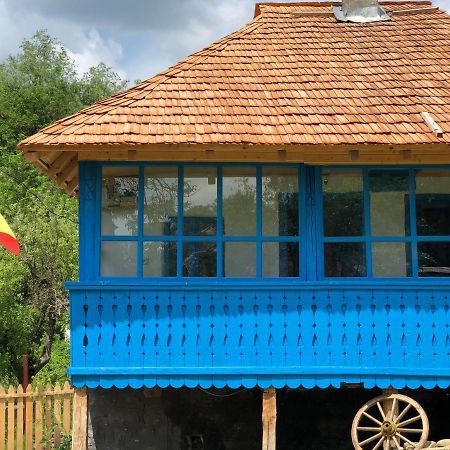 הוילה Băile Olăneşti Casa Albastra מראה חיצוני תמונה
