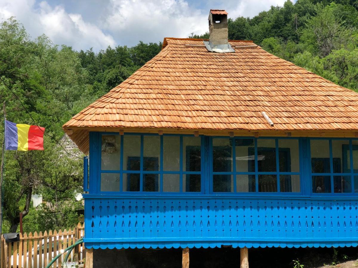 הוילה Băile Olăneşti Casa Albastra מראה חיצוני תמונה