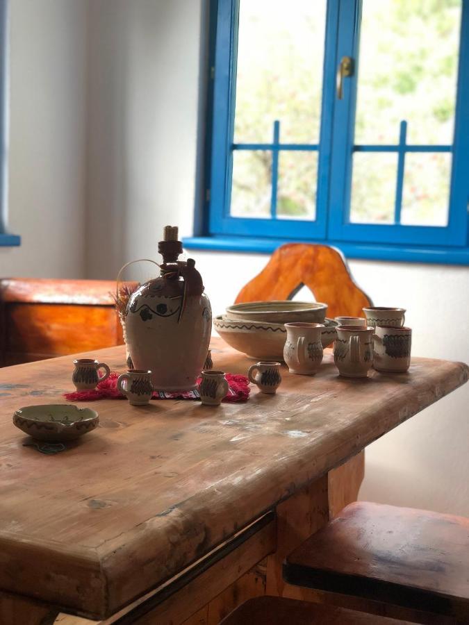 הוילה Băile Olăneşti Casa Albastra מראה חיצוני תמונה