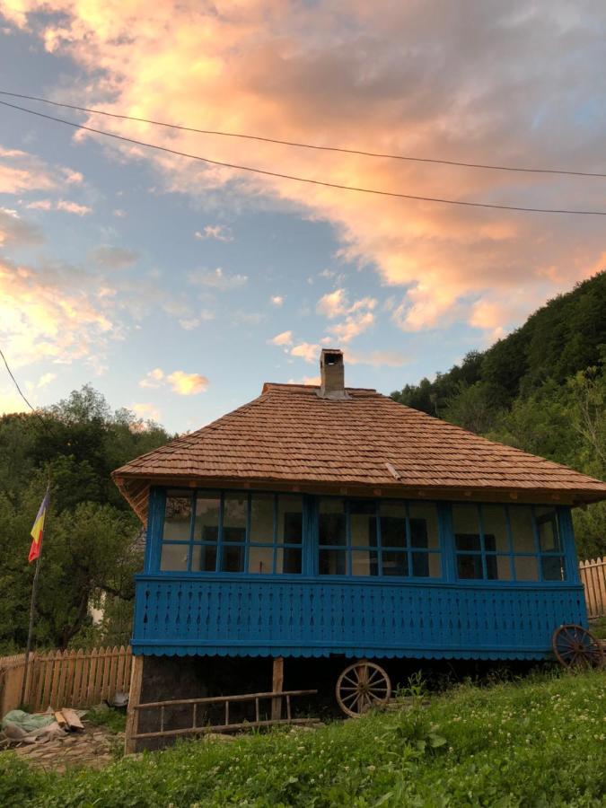 הוילה Băile Olăneşti Casa Albastra מראה חיצוני תמונה