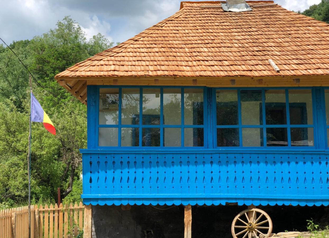 הוילה Băile Olăneşti Casa Albastra מראה חיצוני תמונה
