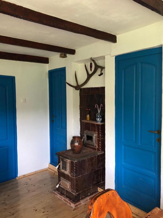 הוילה Băile Olăneşti Casa Albastra מראה חיצוני תמונה