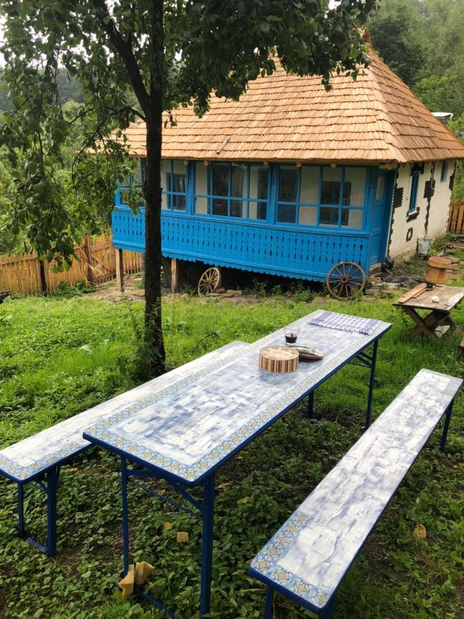 הוילה Băile Olăneşti Casa Albastra מראה חיצוני תמונה