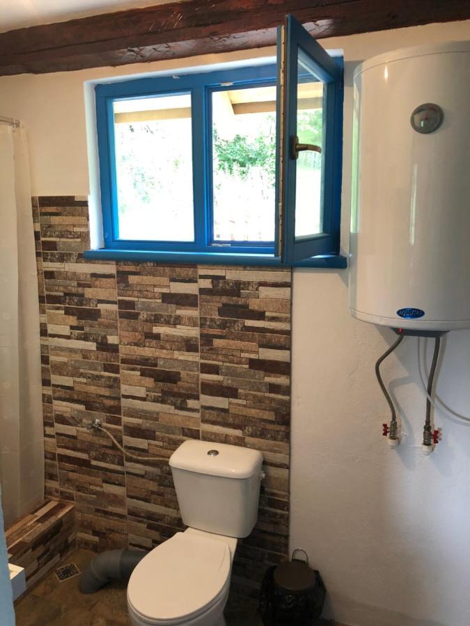 הוילה Băile Olăneşti Casa Albastra מראה חיצוני תמונה