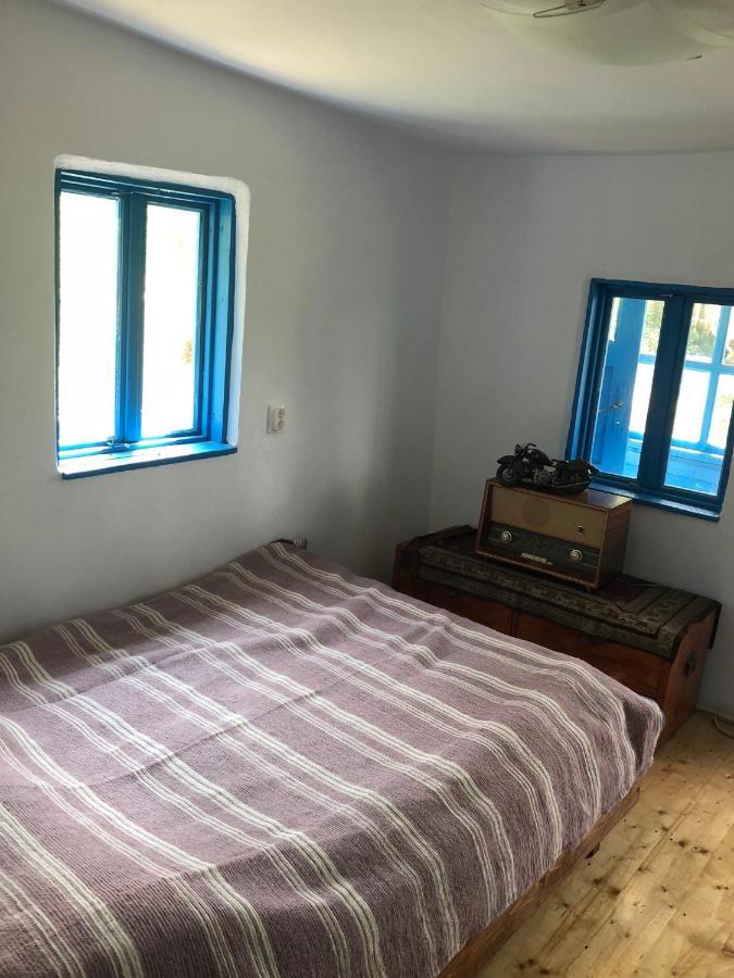 הוילה Băile Olăneşti Casa Albastra מראה חיצוני תמונה