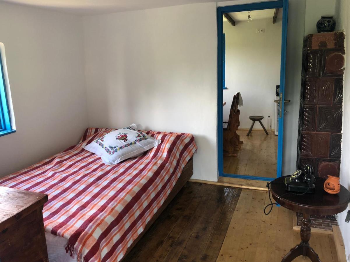 הוילה Băile Olăneşti Casa Albastra מראה חיצוני תמונה