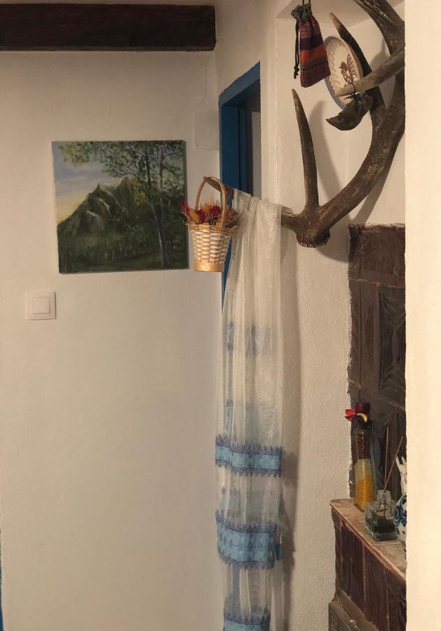 הוילה Băile Olăneşti Casa Albastra מראה חיצוני תמונה