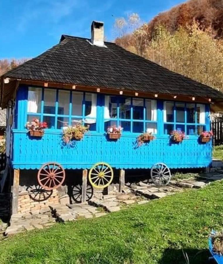הוילה Băile Olăneşti Casa Albastra מראה חיצוני תמונה